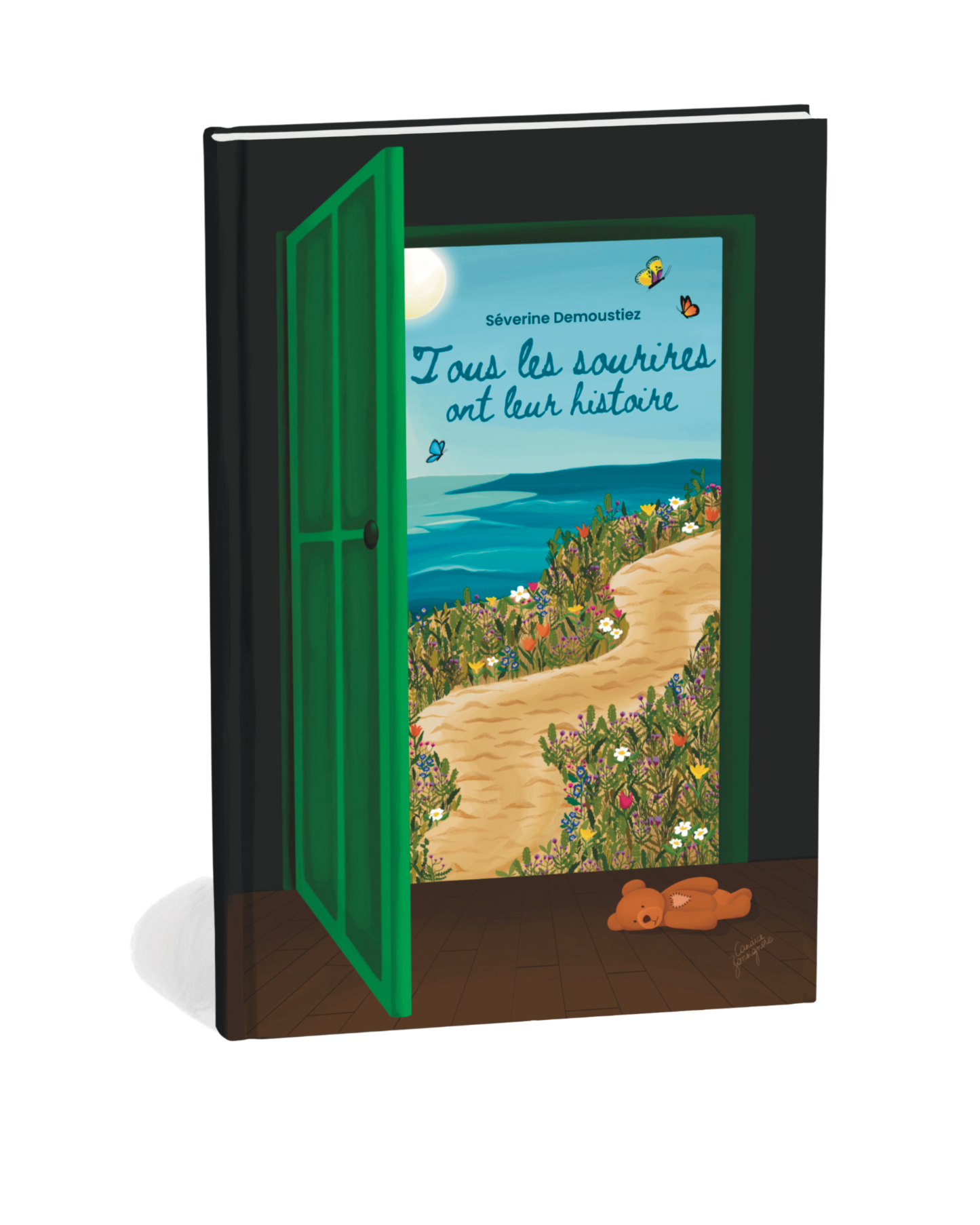 Roman dédicacé "Tous les sourires ont leur histoire" Port offert